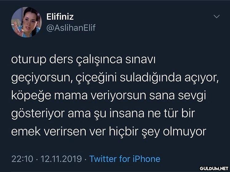 Elifiniz @AslihanElif...