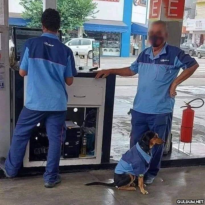 anlamsız fotoğraflar 2297 ...