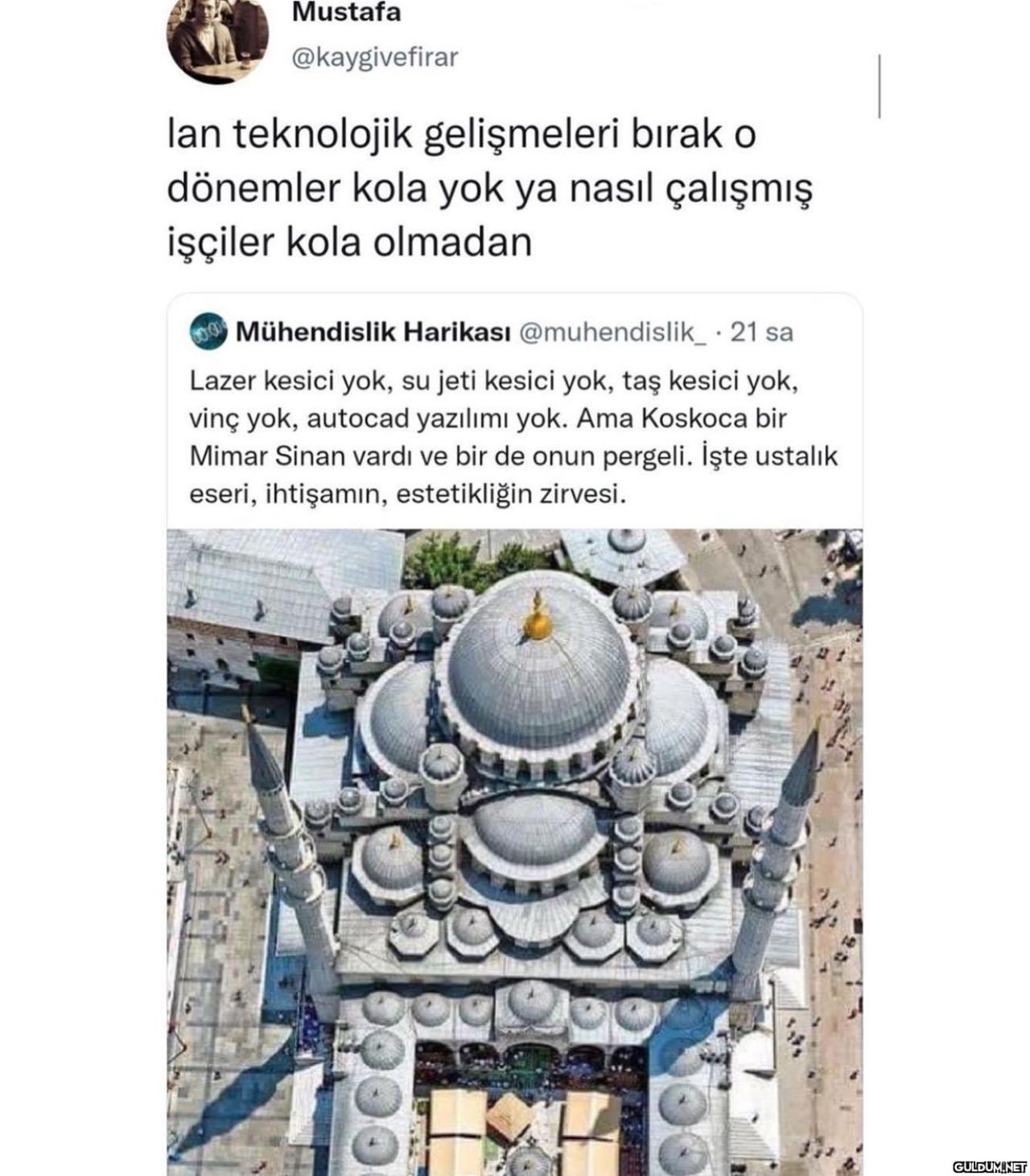 Shshshzhxvdbd   Mustafa...