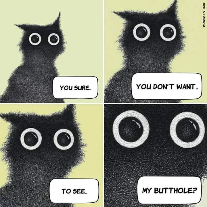 Every time I pet my cat ✍🏻...