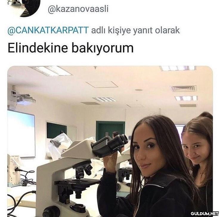 Holz ck the MachineGun ME...