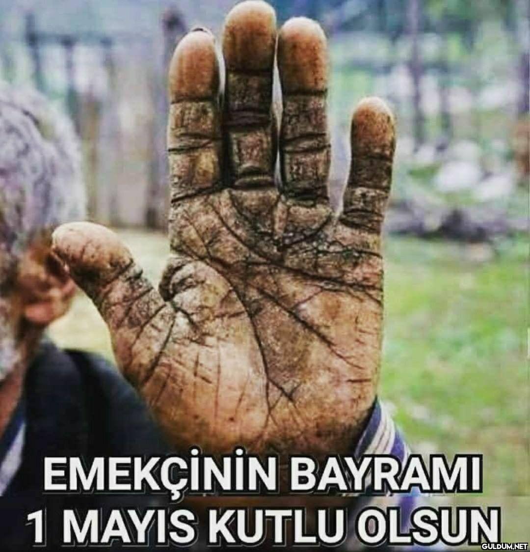 Tüm işçi ve...