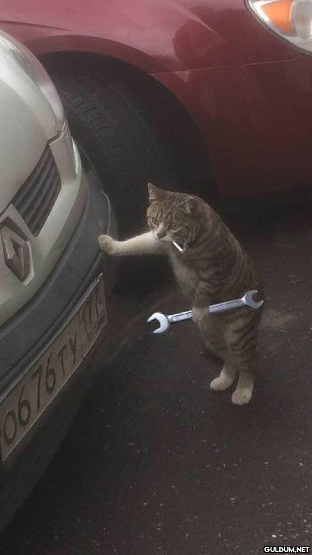Bişeyi de bilmeyin be...