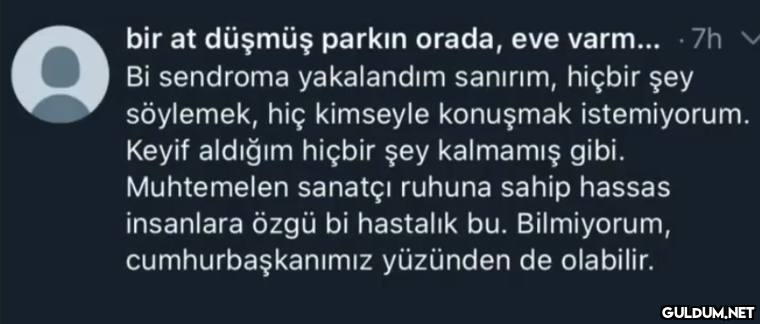 bir at düşmüş parkın...