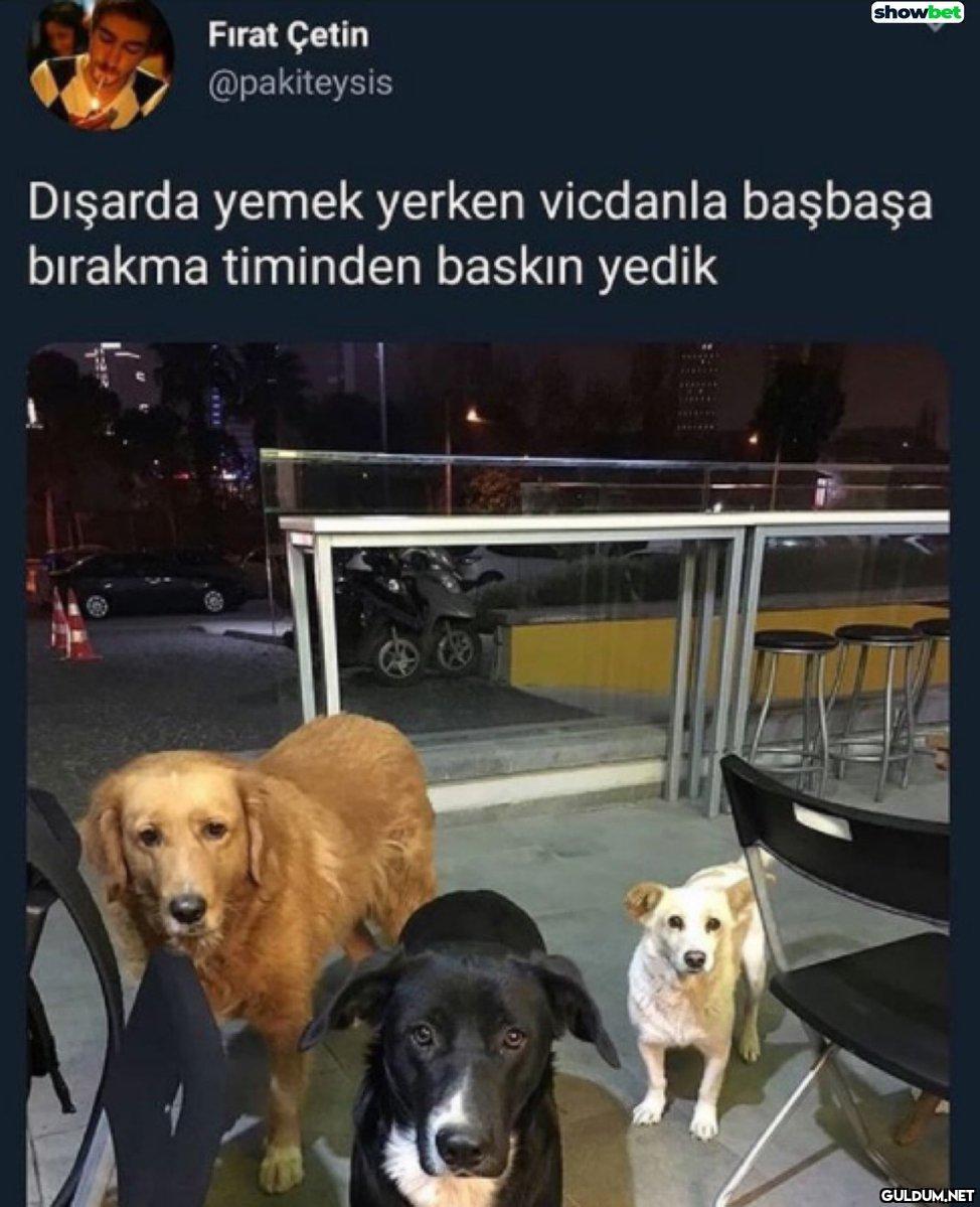 showbet Fırat Çetin...