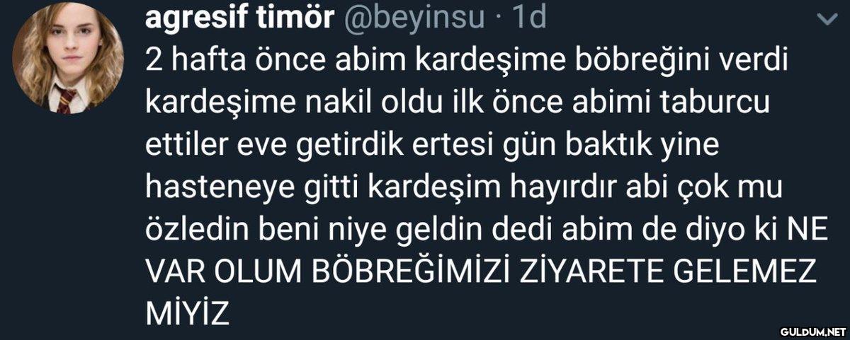 agresif timör @beyinsu. 1d...
