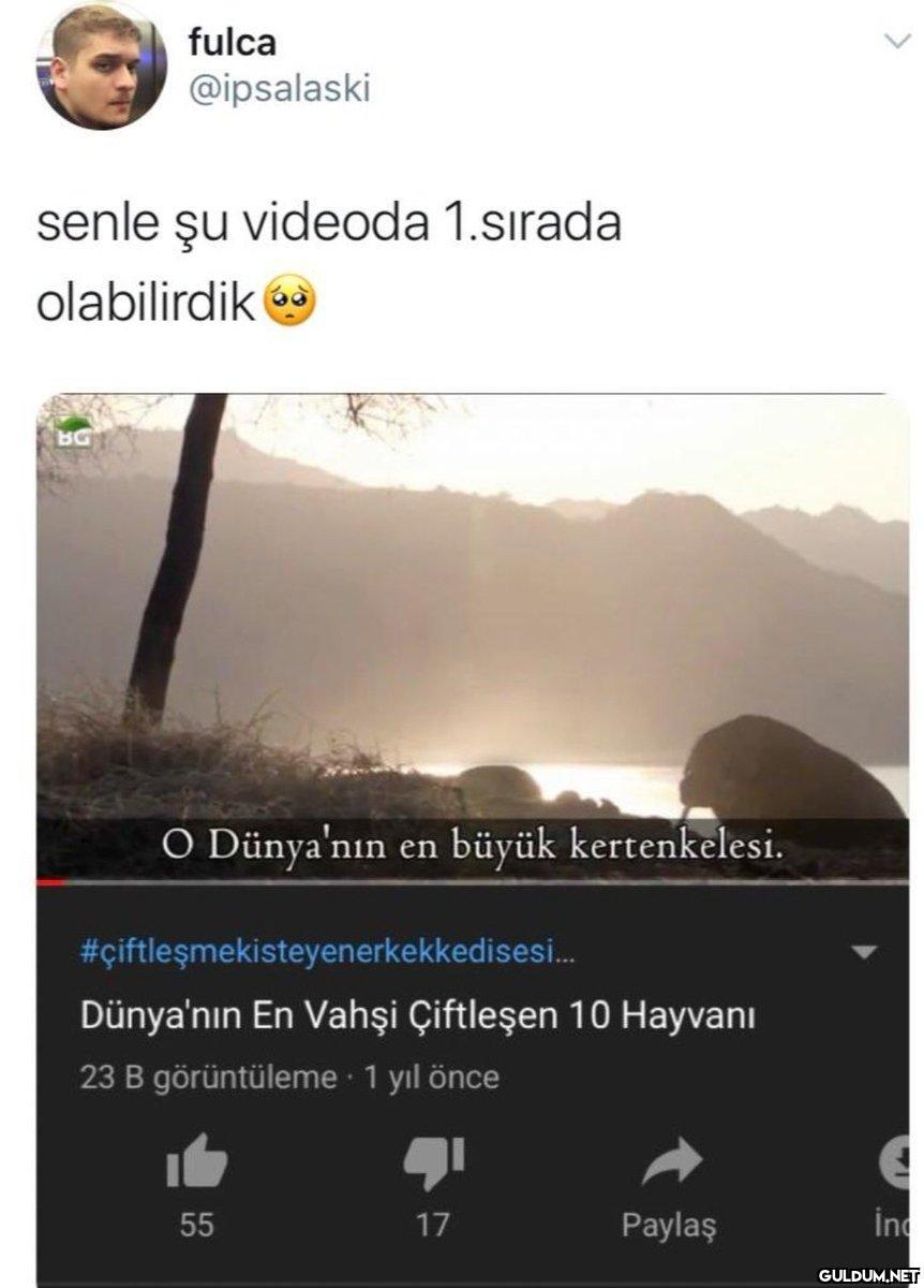 33 https://t.co/K6NR5bTXbU...