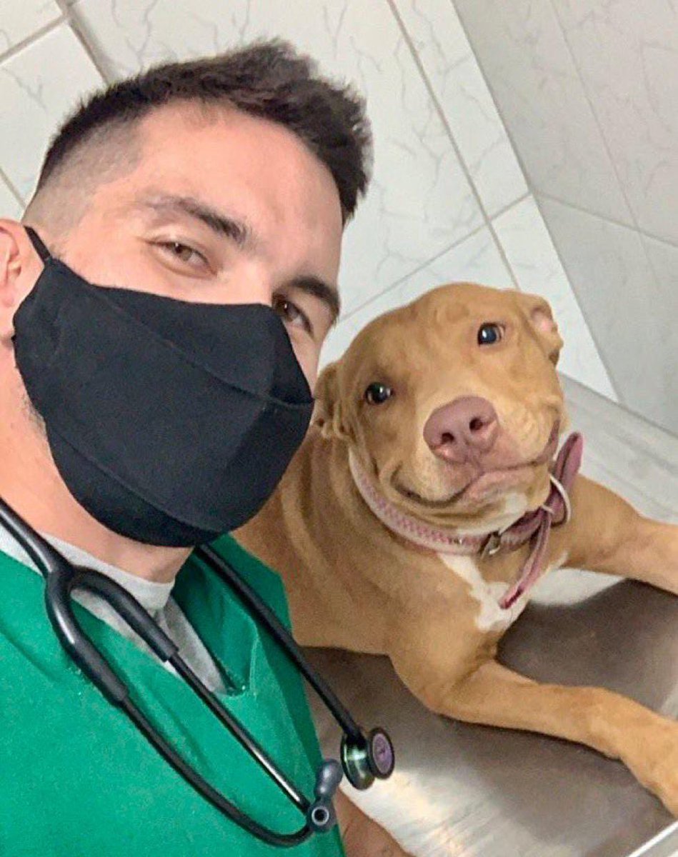 10/10 fotojenik köpek...