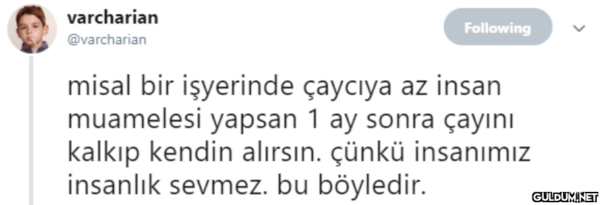varcharian Following...