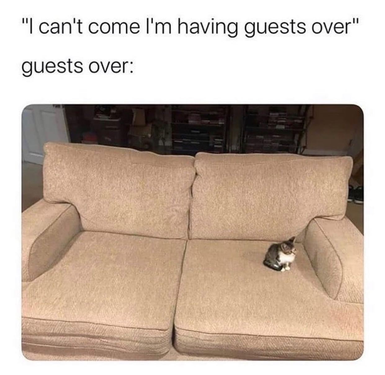 @iamcringeok 🐈  Kaynak