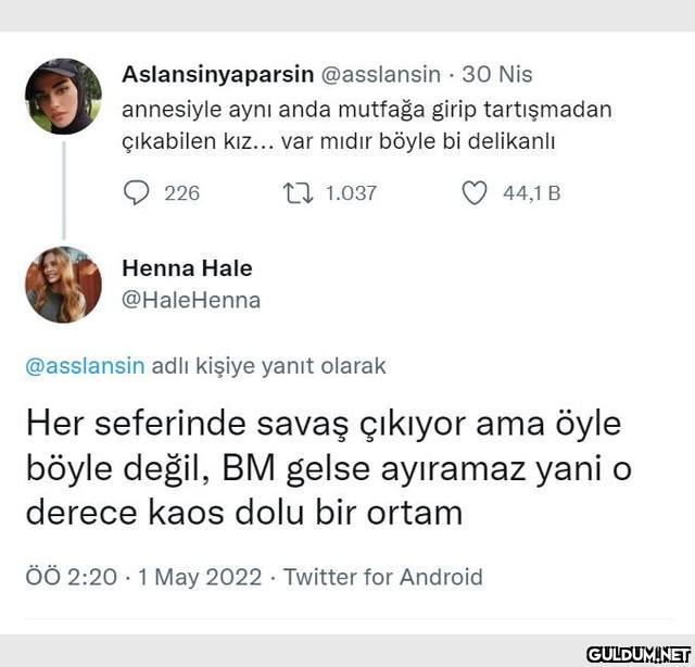 Aslansinyaparsin...