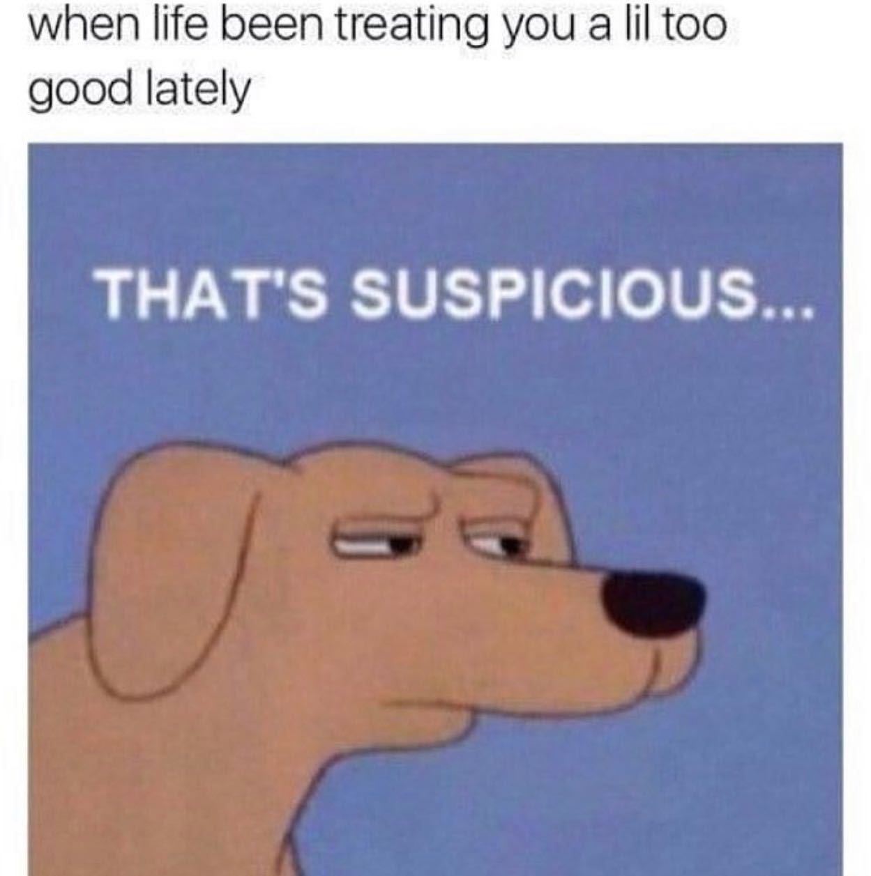@please.hesitate 🐶  Kaynak