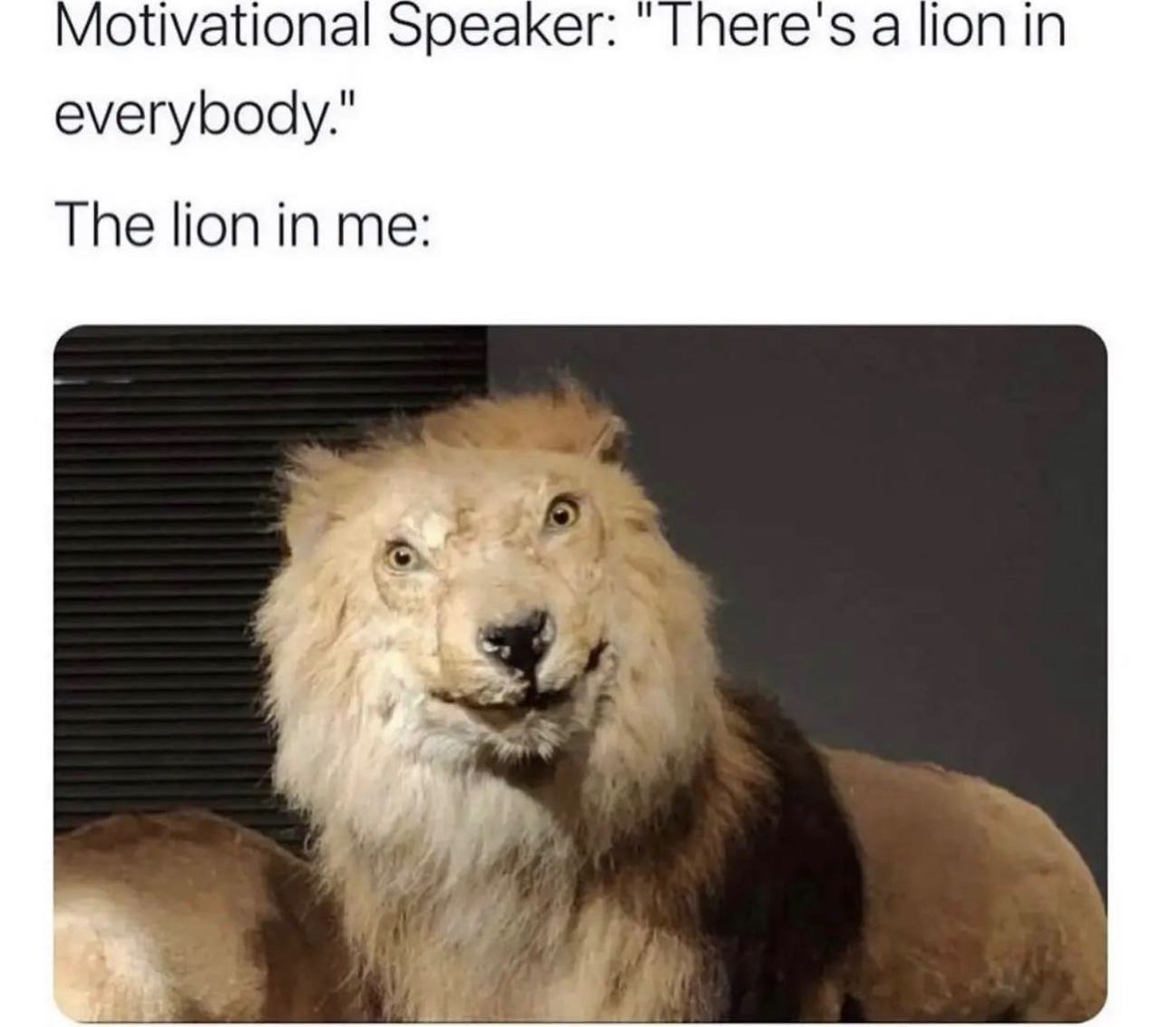 @measatherapist 🦁  Kaynak