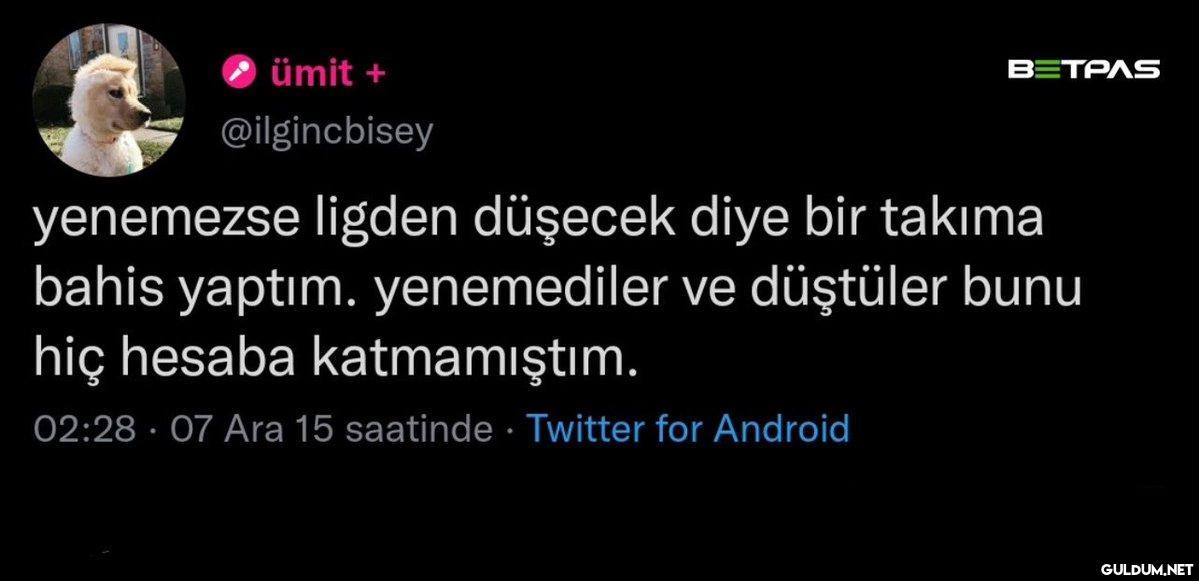 https://t.co/NlgC0jEHEa  ...