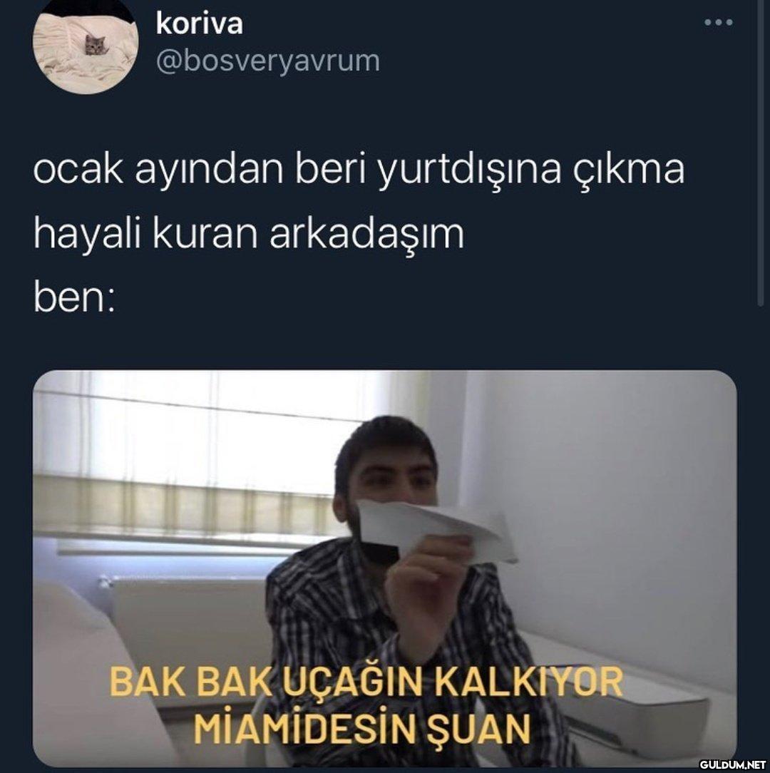 https://t.co/NYyEXLw4zH  ...