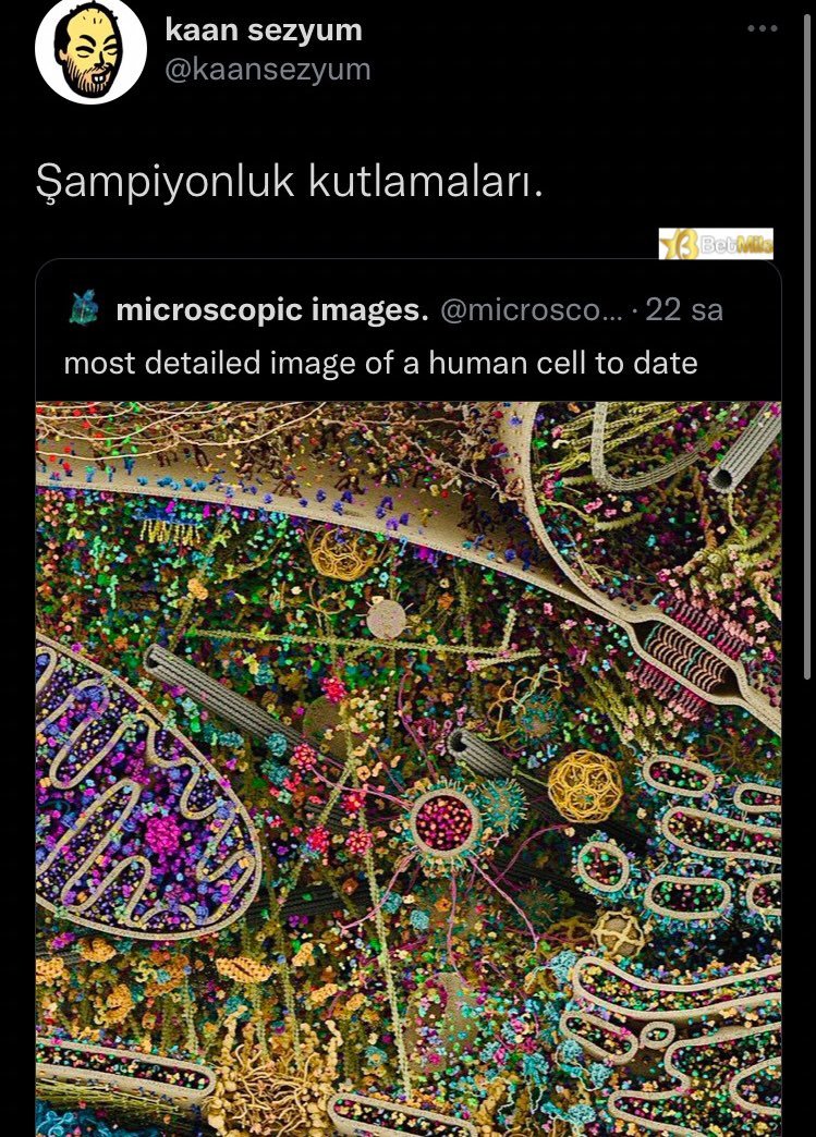 Günaydın...