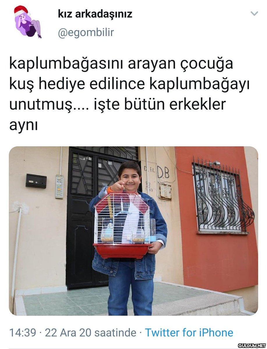 https://t.co/S6AQxljqGx  ...