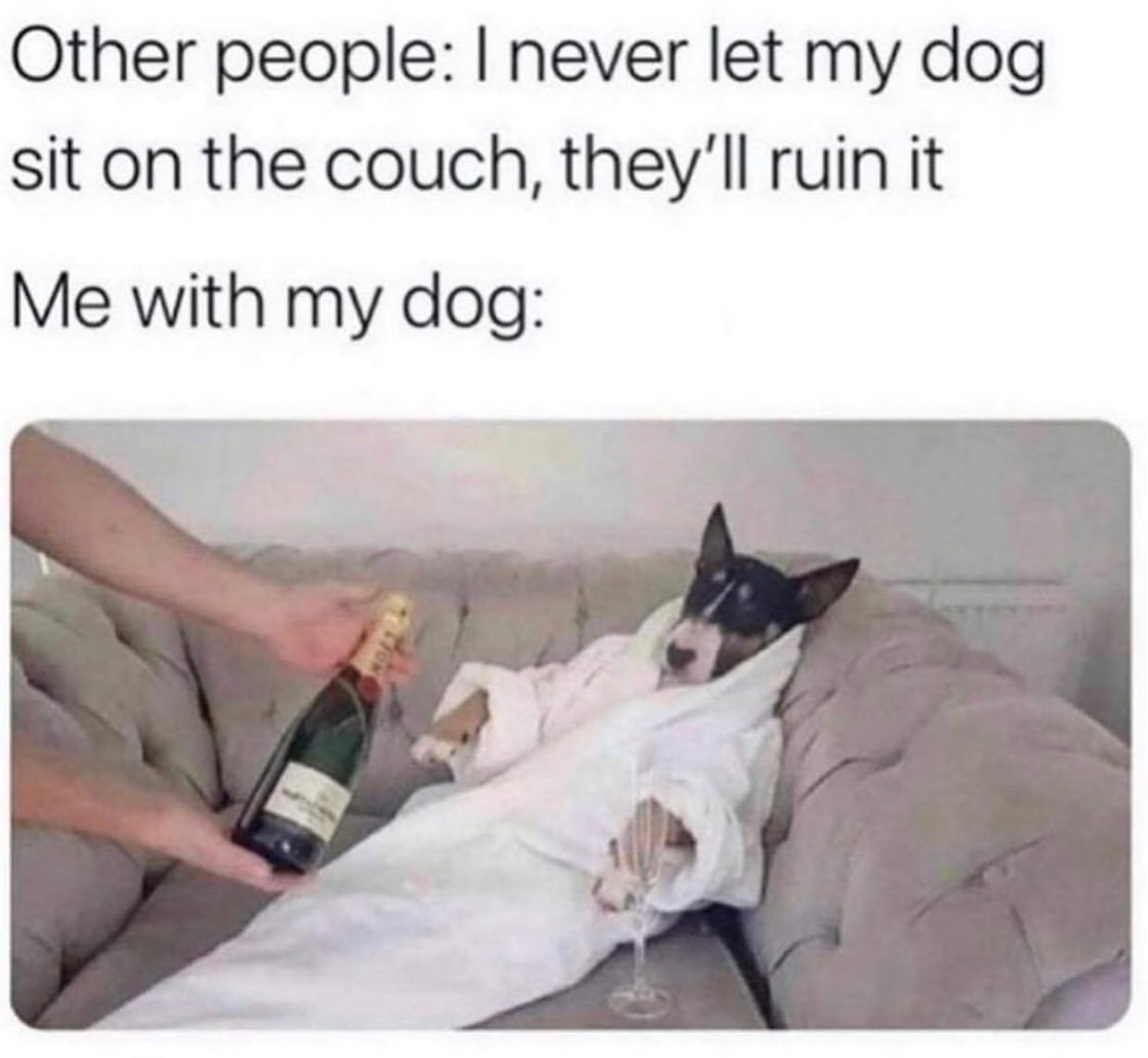 @iamcringeok 🐶  Kaynak