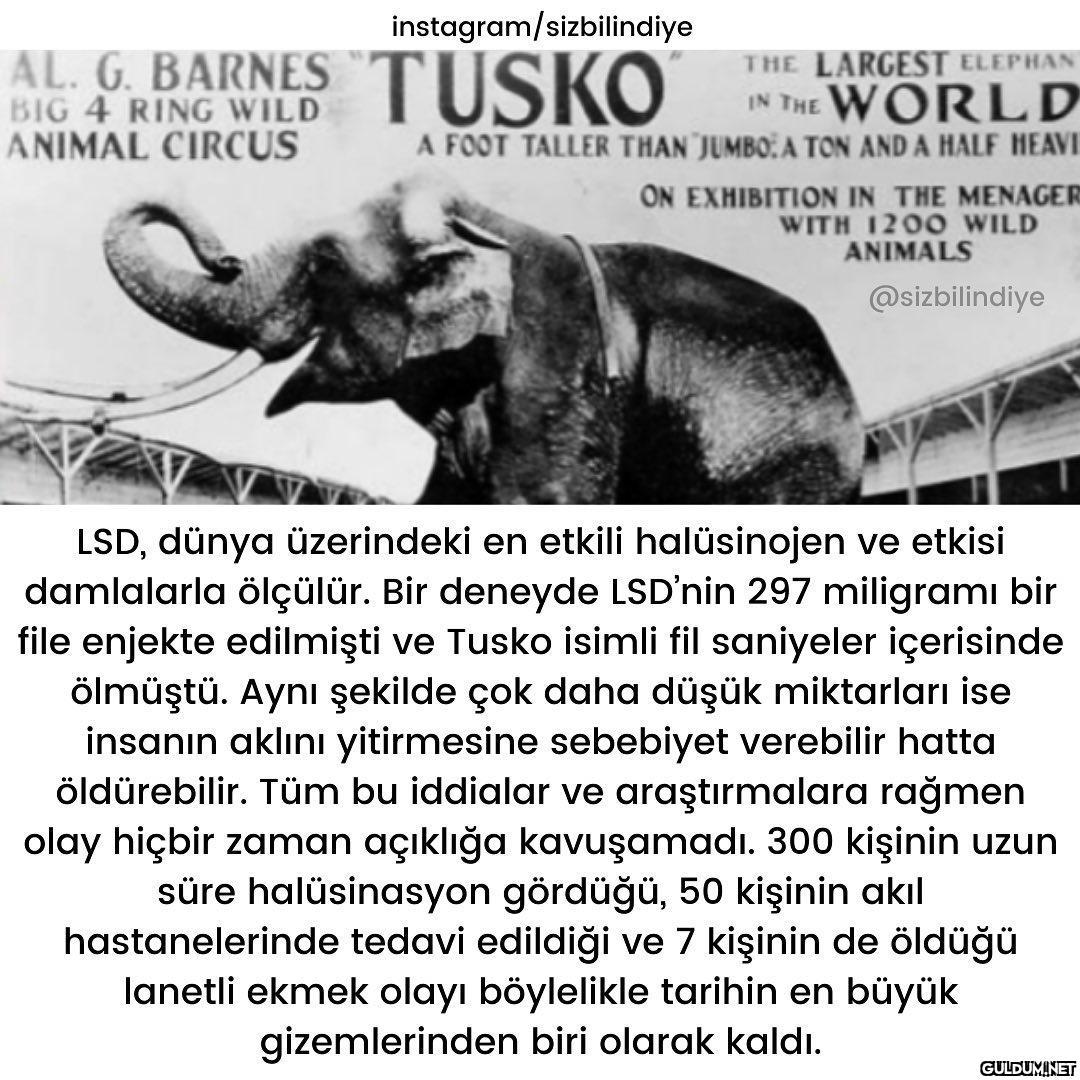 İlginç bir olayın...
