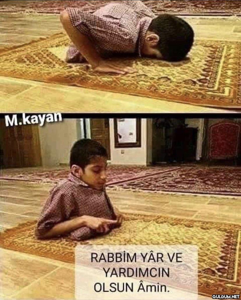 sen neye şükrediyorsun amk...