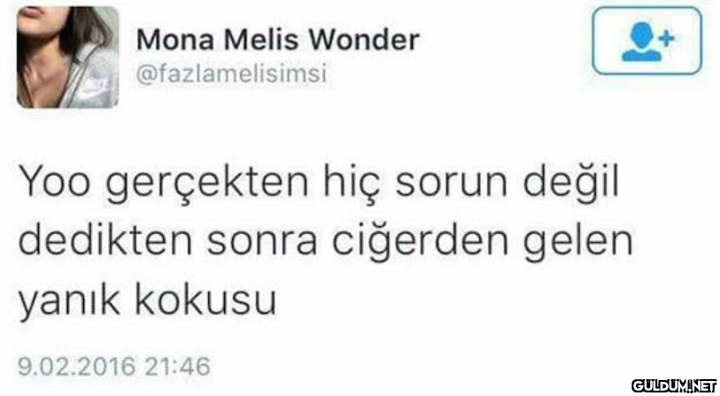 Mona Melis Wonder...