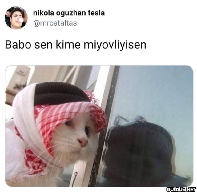 nikola oguzhan tesla...