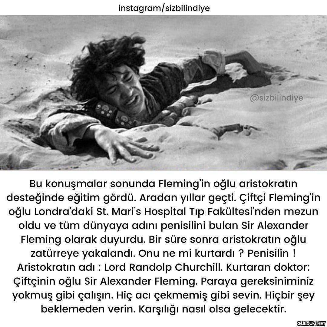 👏🏻👏🏻  Daha fazla...