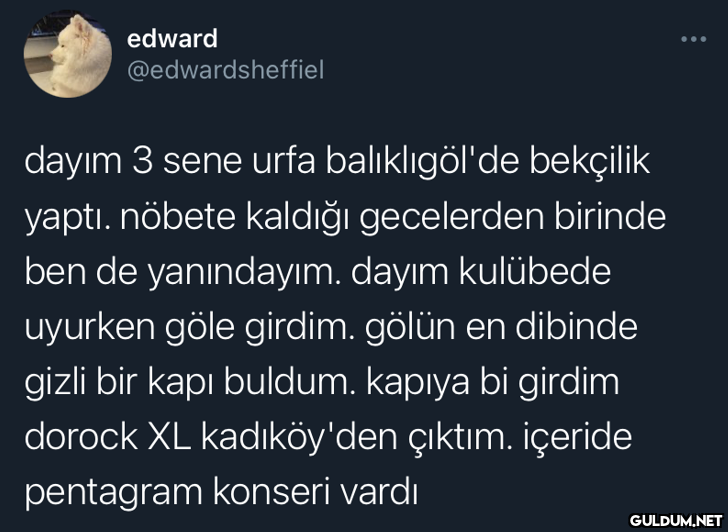 edward @edwardsheffiel...