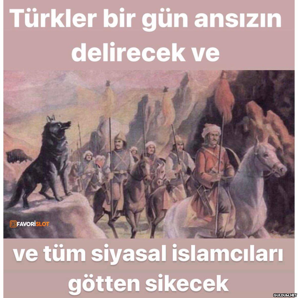Türkler bir gün ansızın...