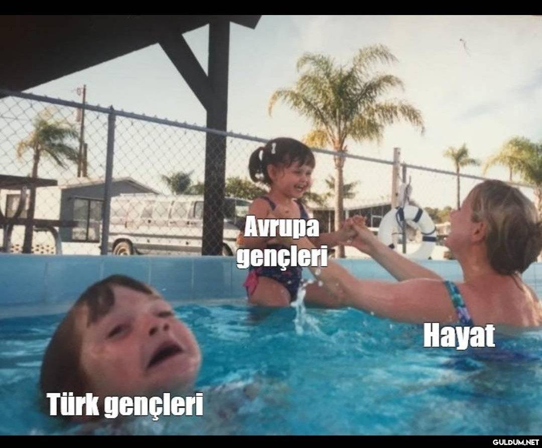 https://t.co/BNI4dasSPo  ...