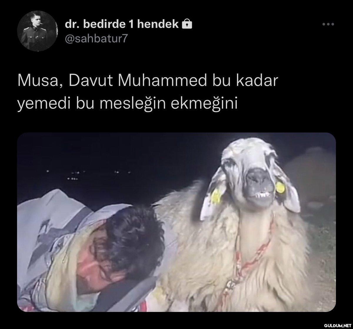 dr. bedirde 1 hendek a...