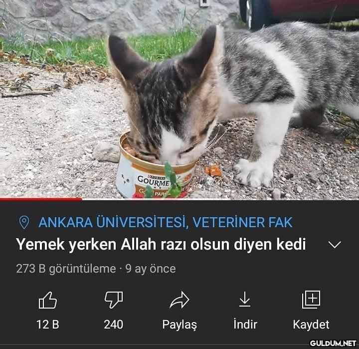 34- Yemek yerken Allah...