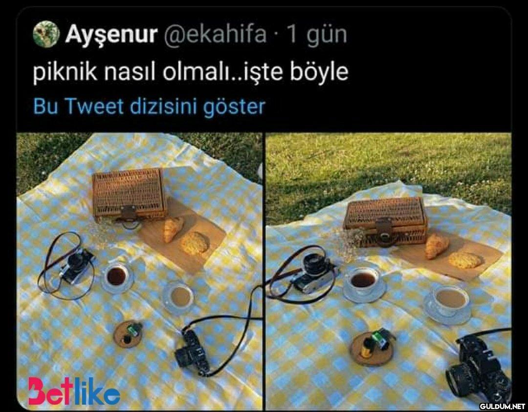Piknik malzemelerini...