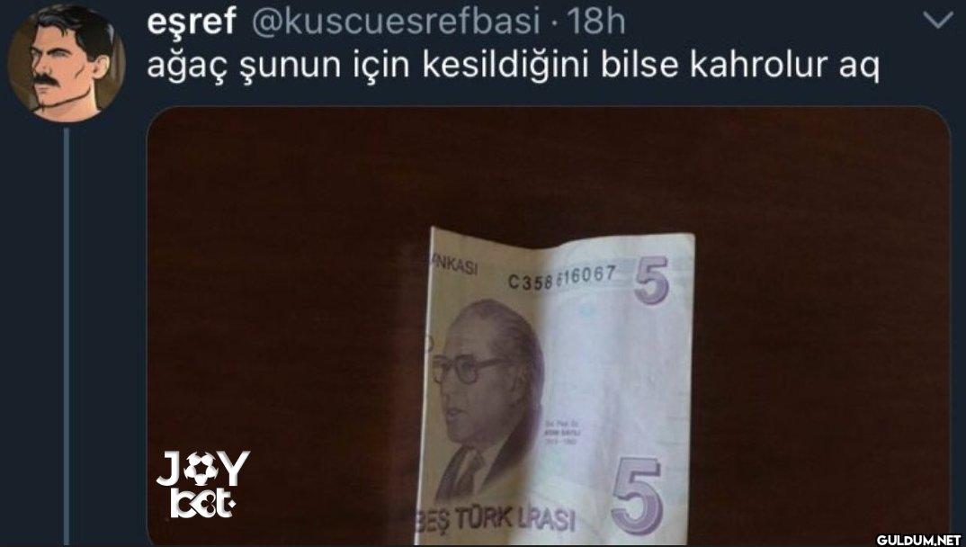 - 18h ağaç şunun için...