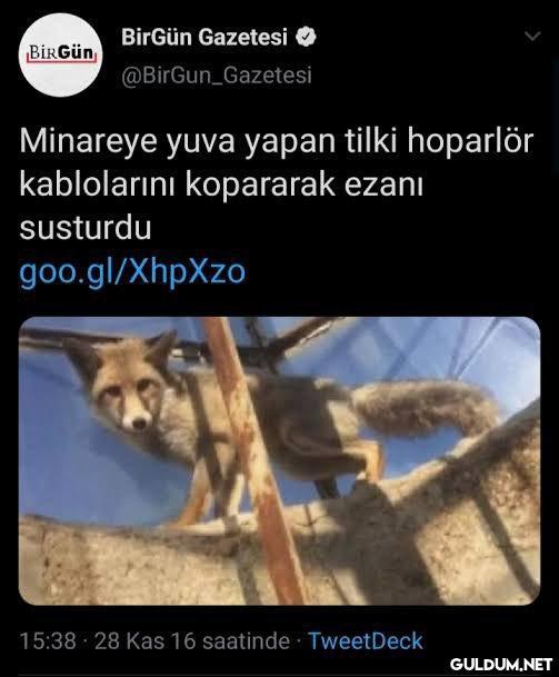 BirGün Gazetesi O BİRGÜN...
