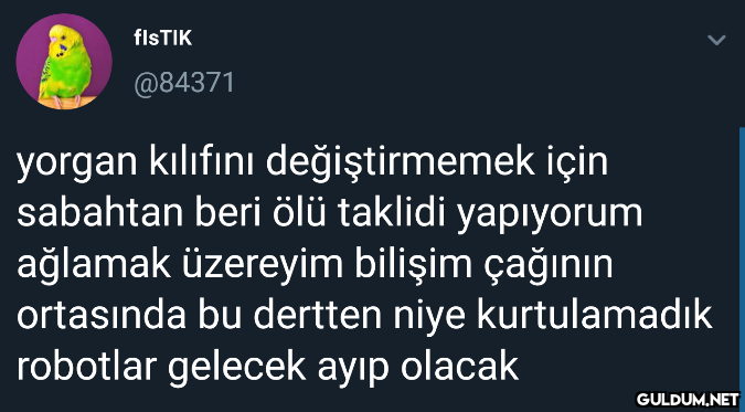 flsTIK @84371 yorgan...