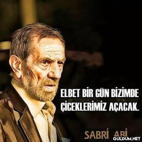 elbet…...