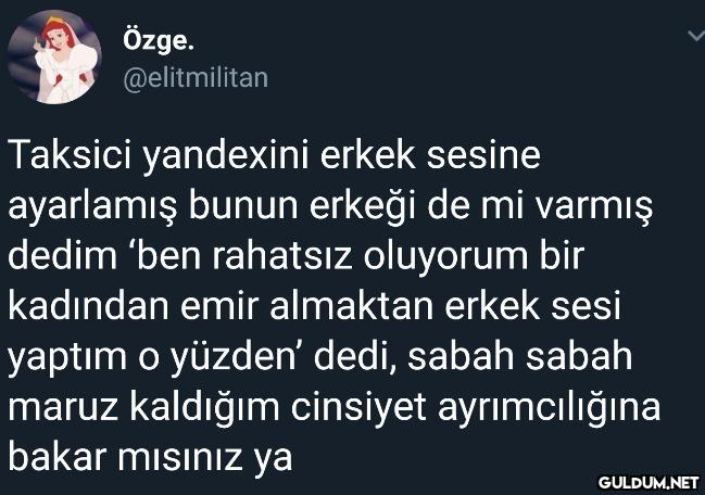 Özge. @elitmilitan Taksici...