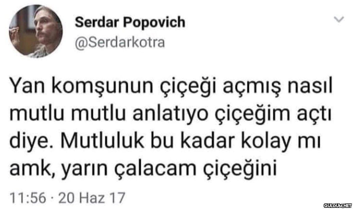 Serdar Popovich...