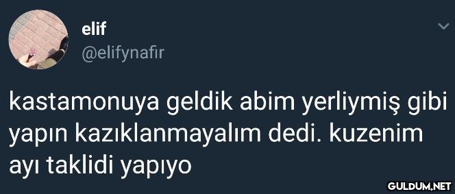 elif @elifynafir...
