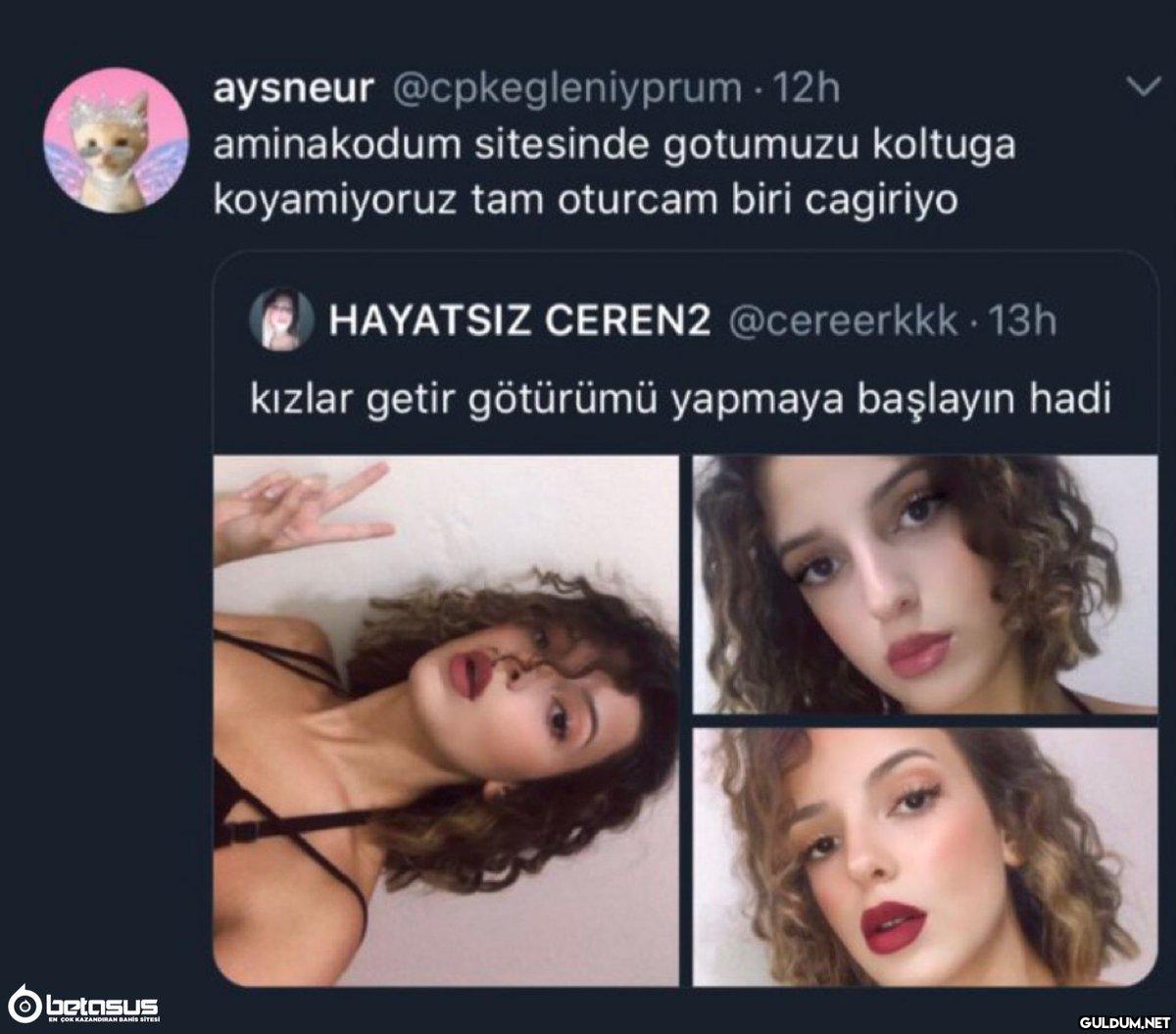 aysneur @cpkegleniyprum -...