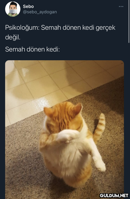 Sebo @sebo_aydogan...