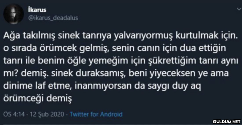 İkarus @ikarus_deadalus...