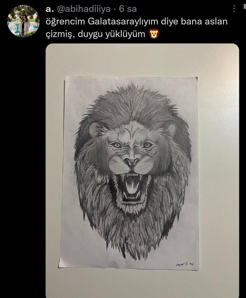 Çizimin güzelliğine bak.....