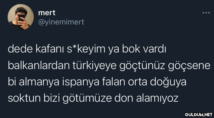 mert @yinemimert dede...