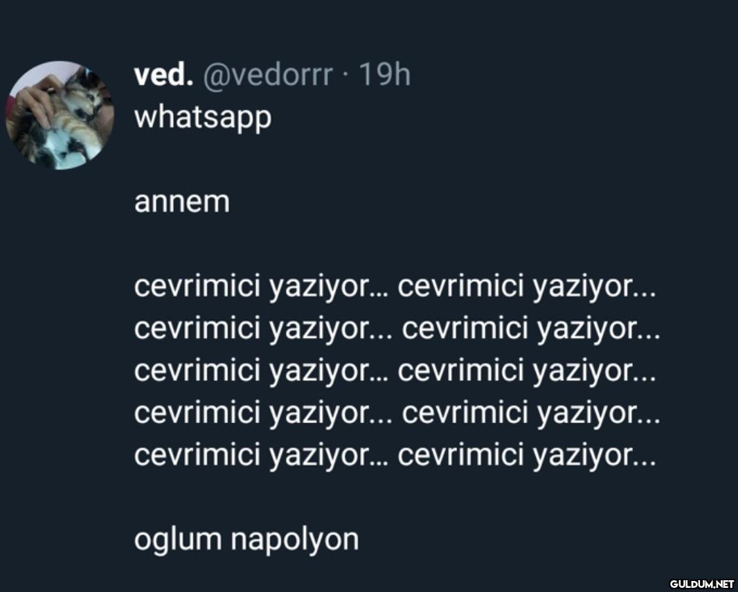 https://t.co/Z1gZGCwNtb  ...