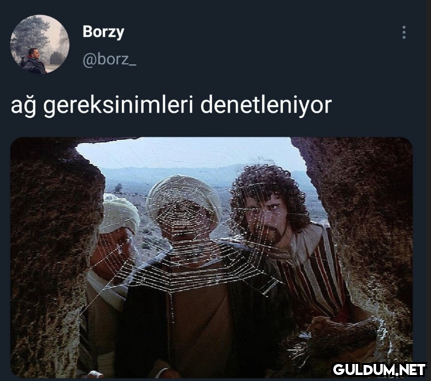 Borzy @borz_ ağ...