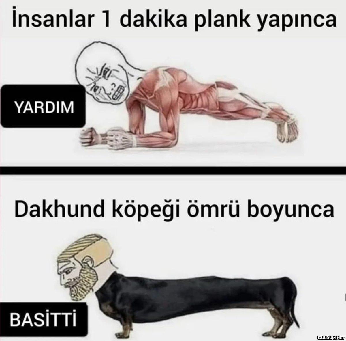 İnsanlar 1 dakika plank...