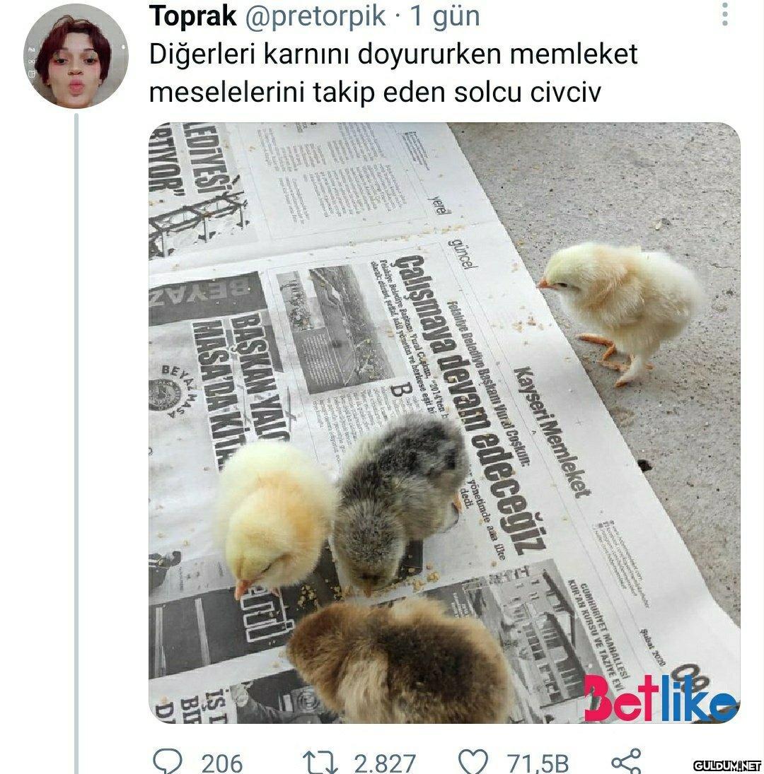 Son günlerde 7/24 mood...