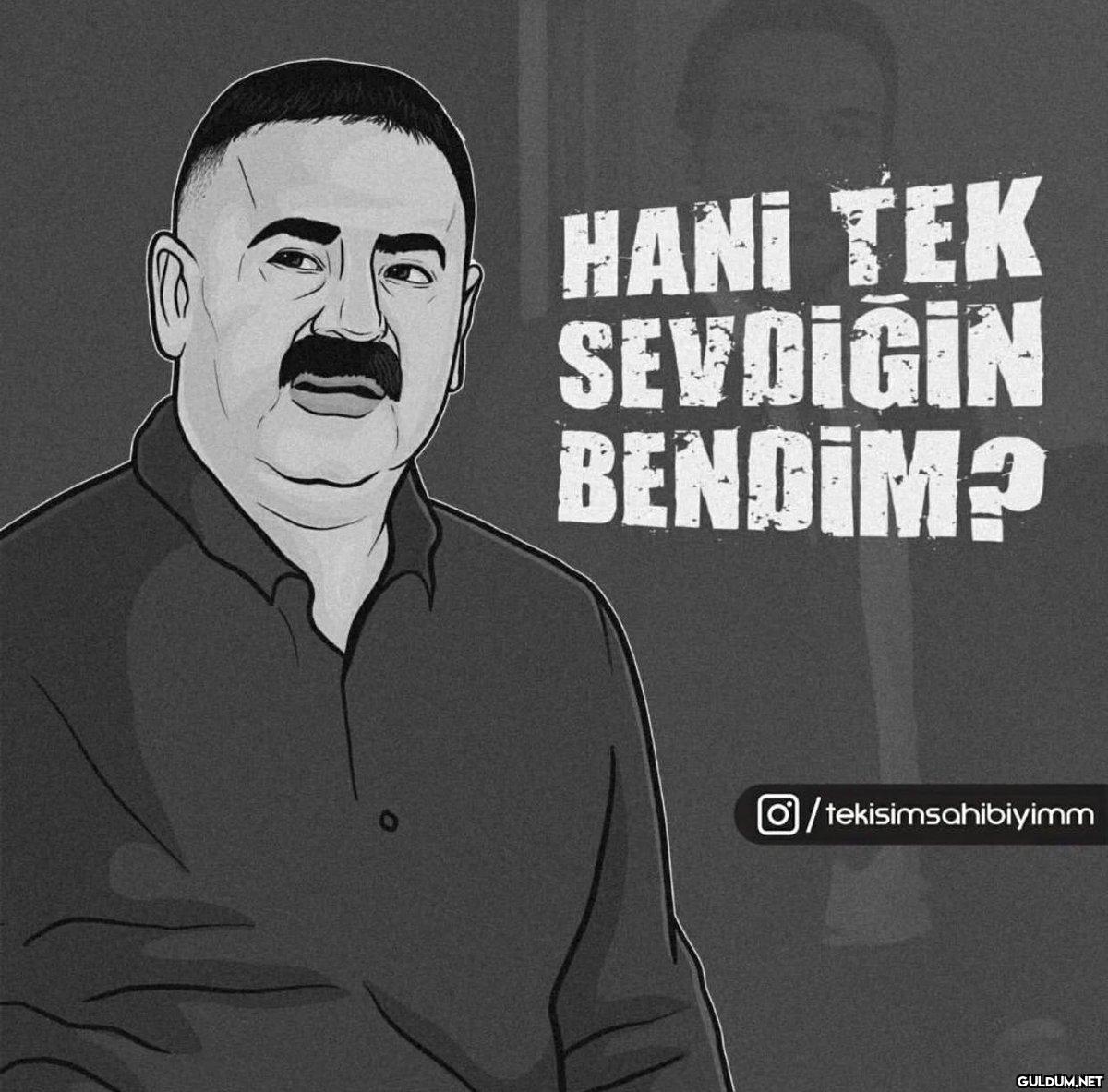 HANI TEK SEVDIĞIN BENDIM?...